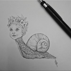 590384586_1442593541202060_5845998426363309355_n