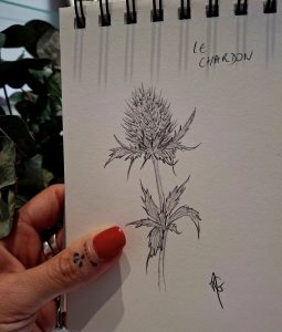 591575323_1442594654535282_1095394377041845650_n