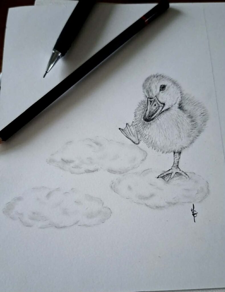 Messenger_creation_E0594DE3-42F8-4D43-9775-864D95B5520D